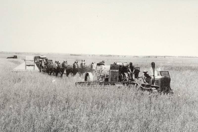 Northam Harvesting